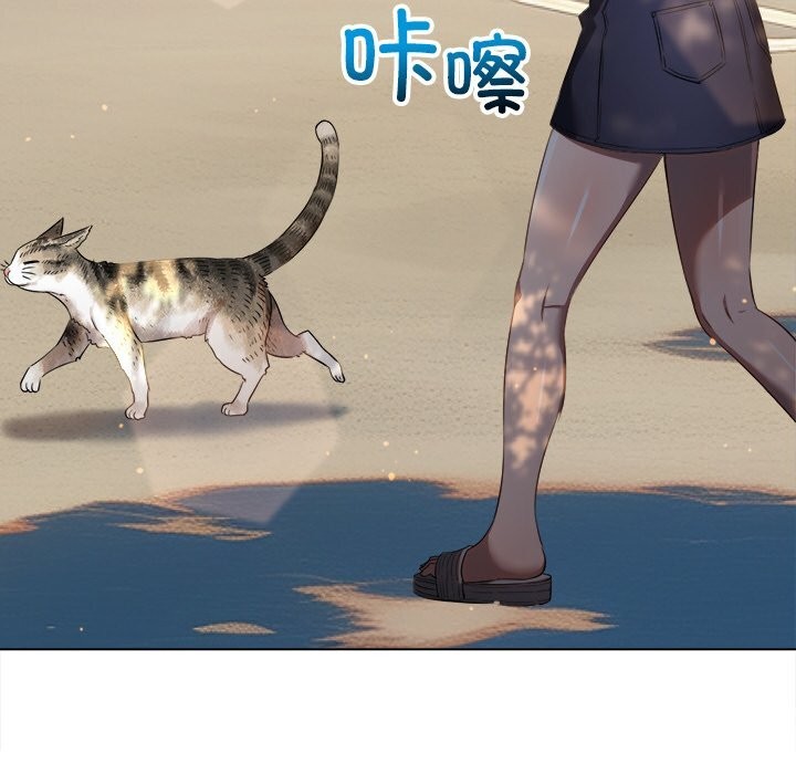 第 11 张