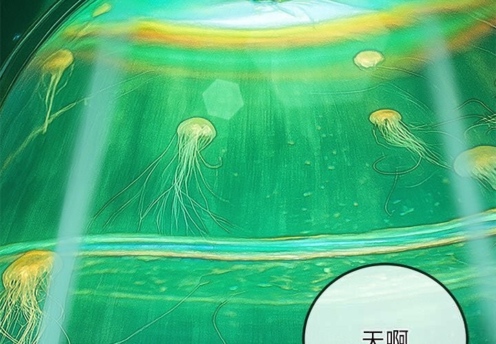 第 3 张