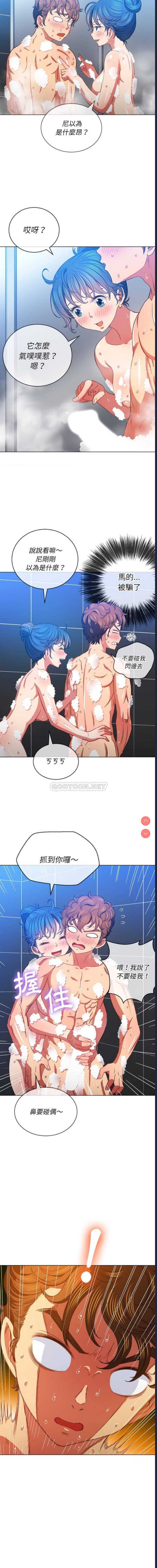 第 4 张