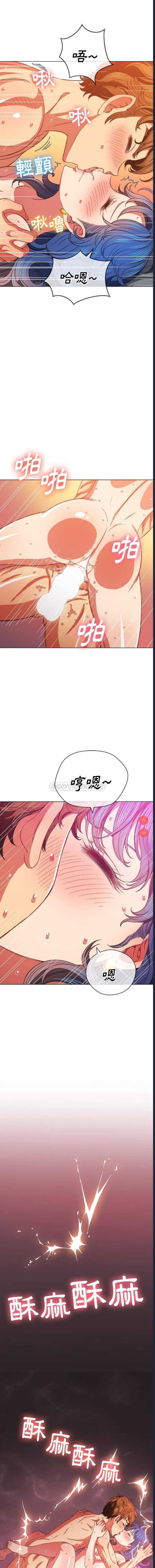 第 7 张