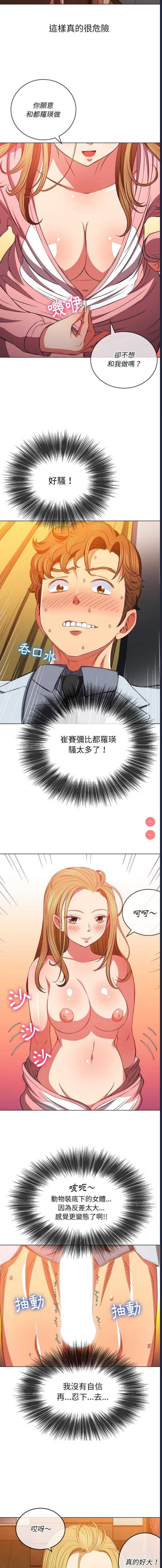 第 8 张