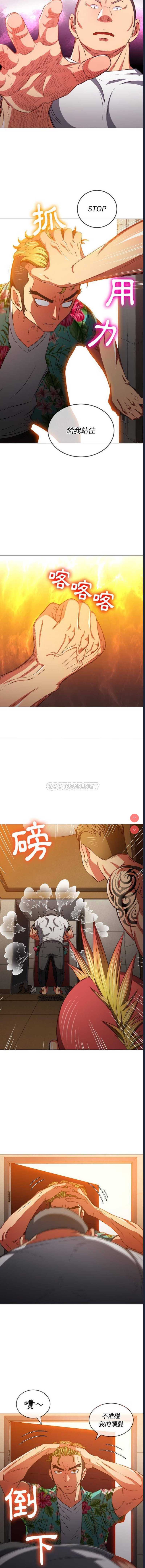 第 3 张