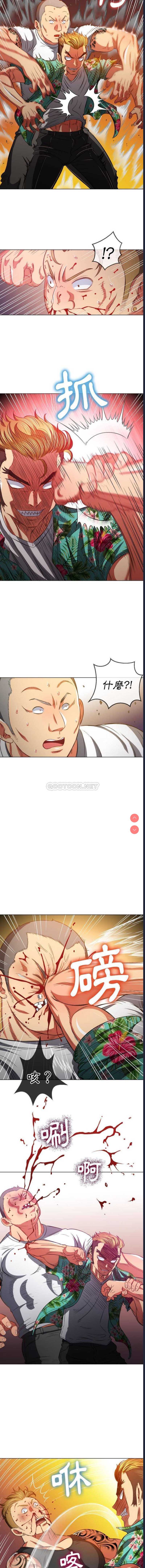 第 8 张