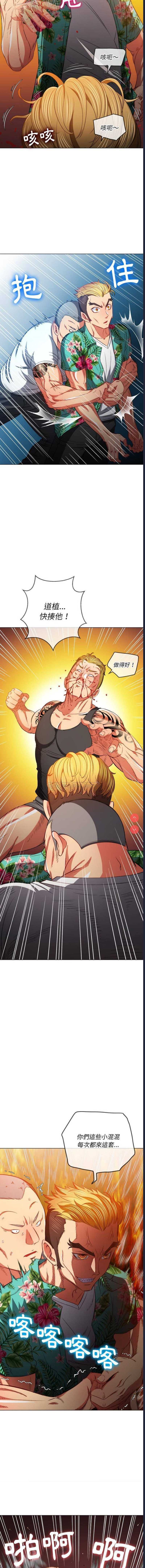 第 7 张