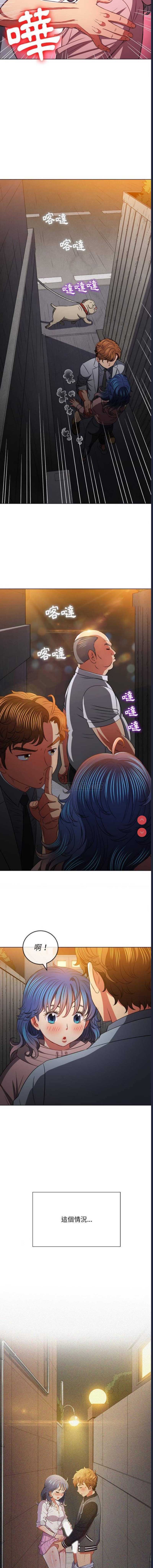 第 6 张