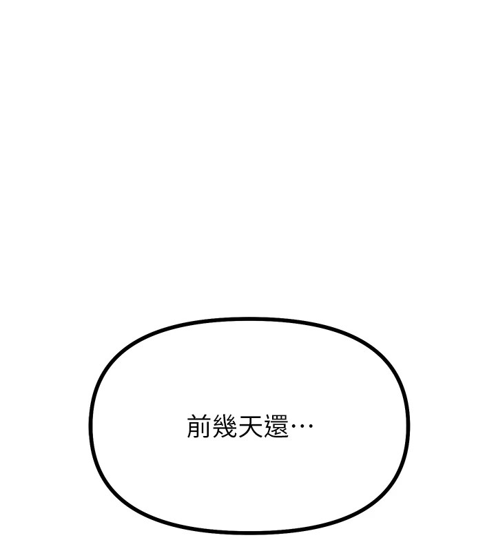 第 11 张