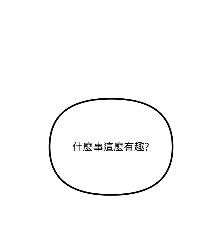 第 6 张
