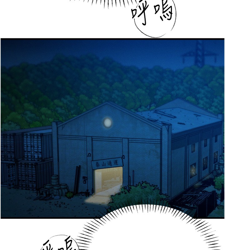 第 11 张