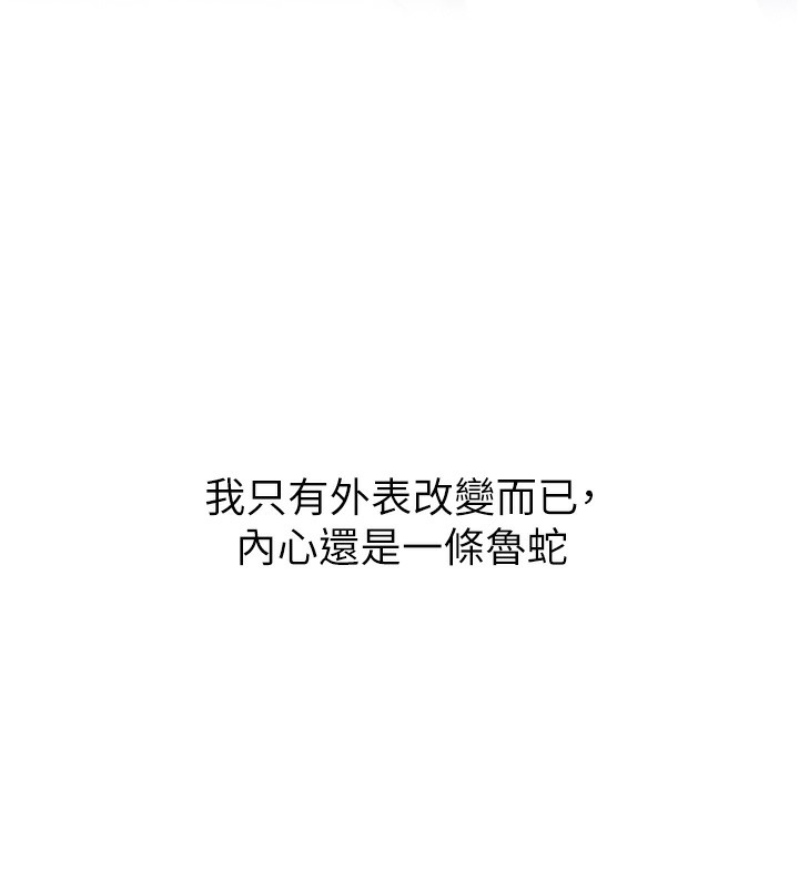 第 7 张
