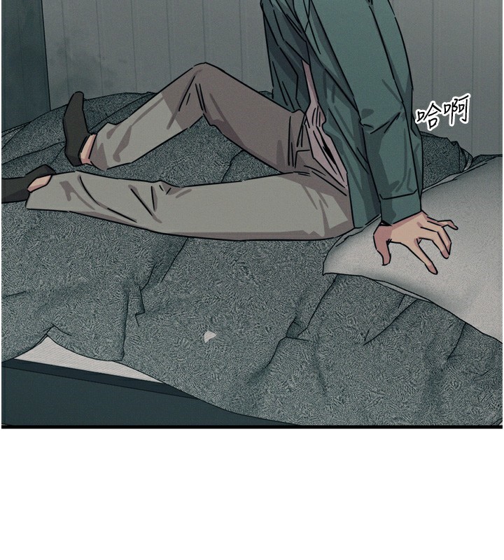第 3 张