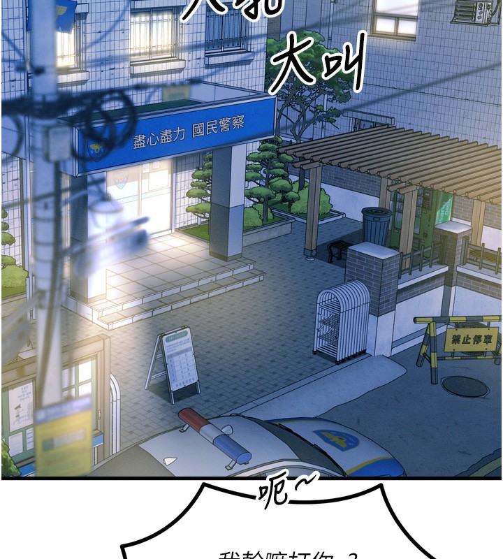 第 12 张