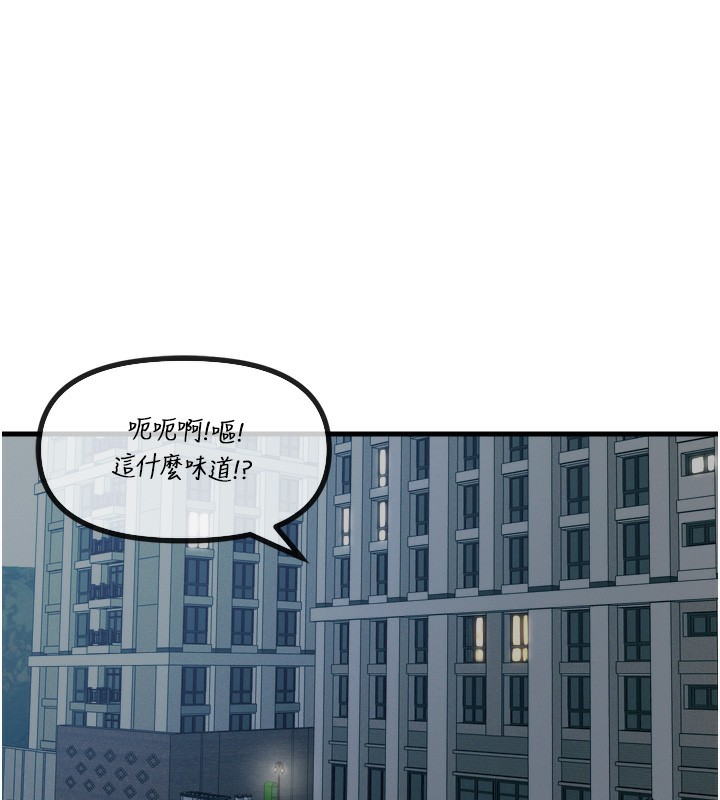 第 11 张