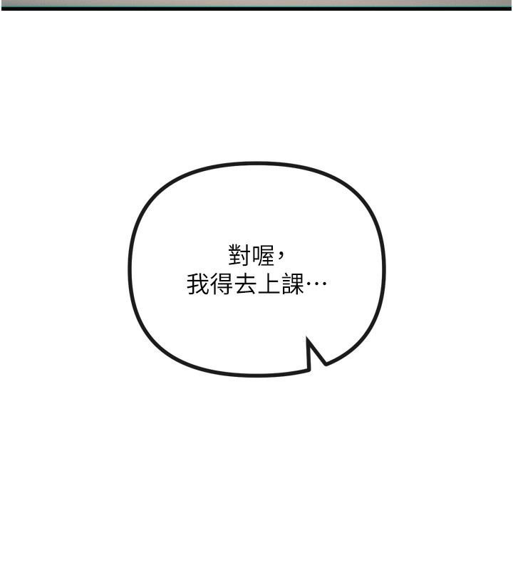 第 5 张