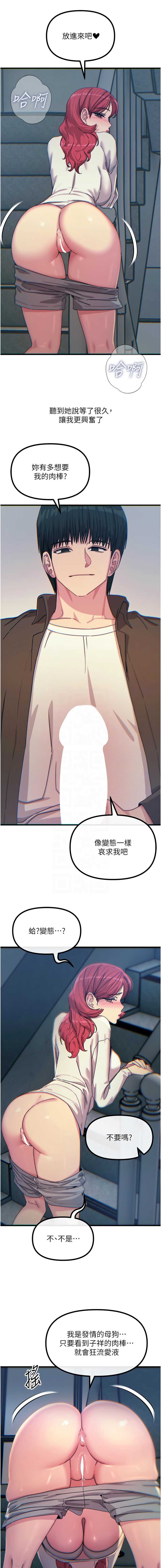 第 11 张