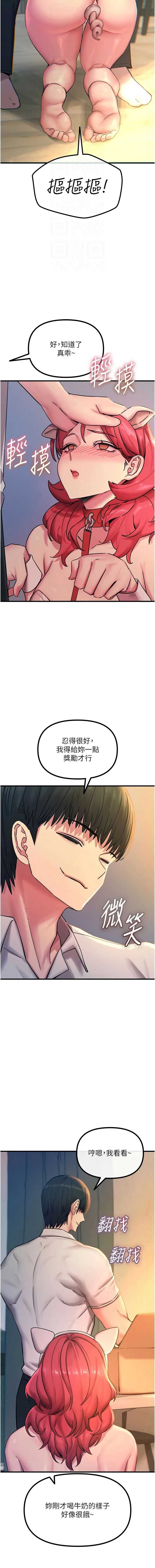 第 4 张