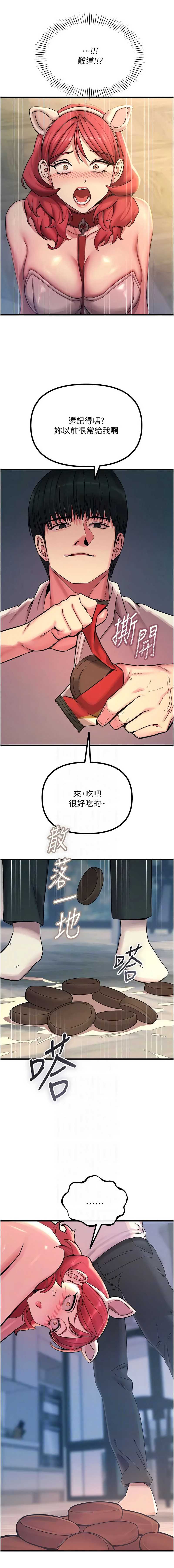 第 5 张
