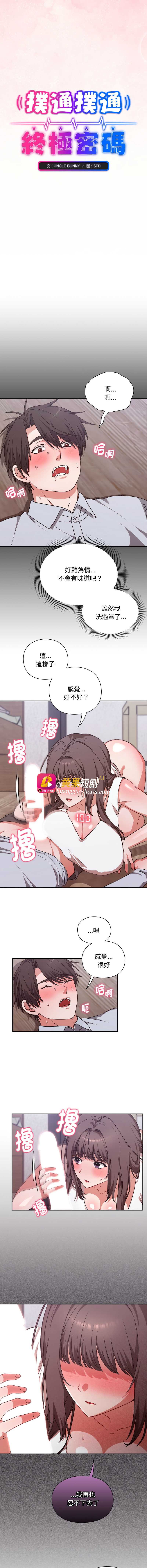 第 3 张