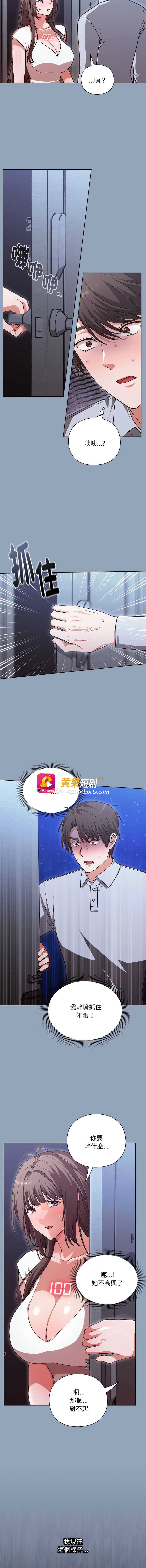 第 6 张