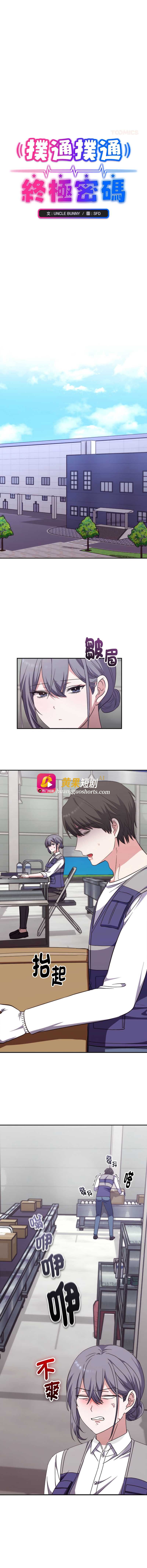 第 11 张