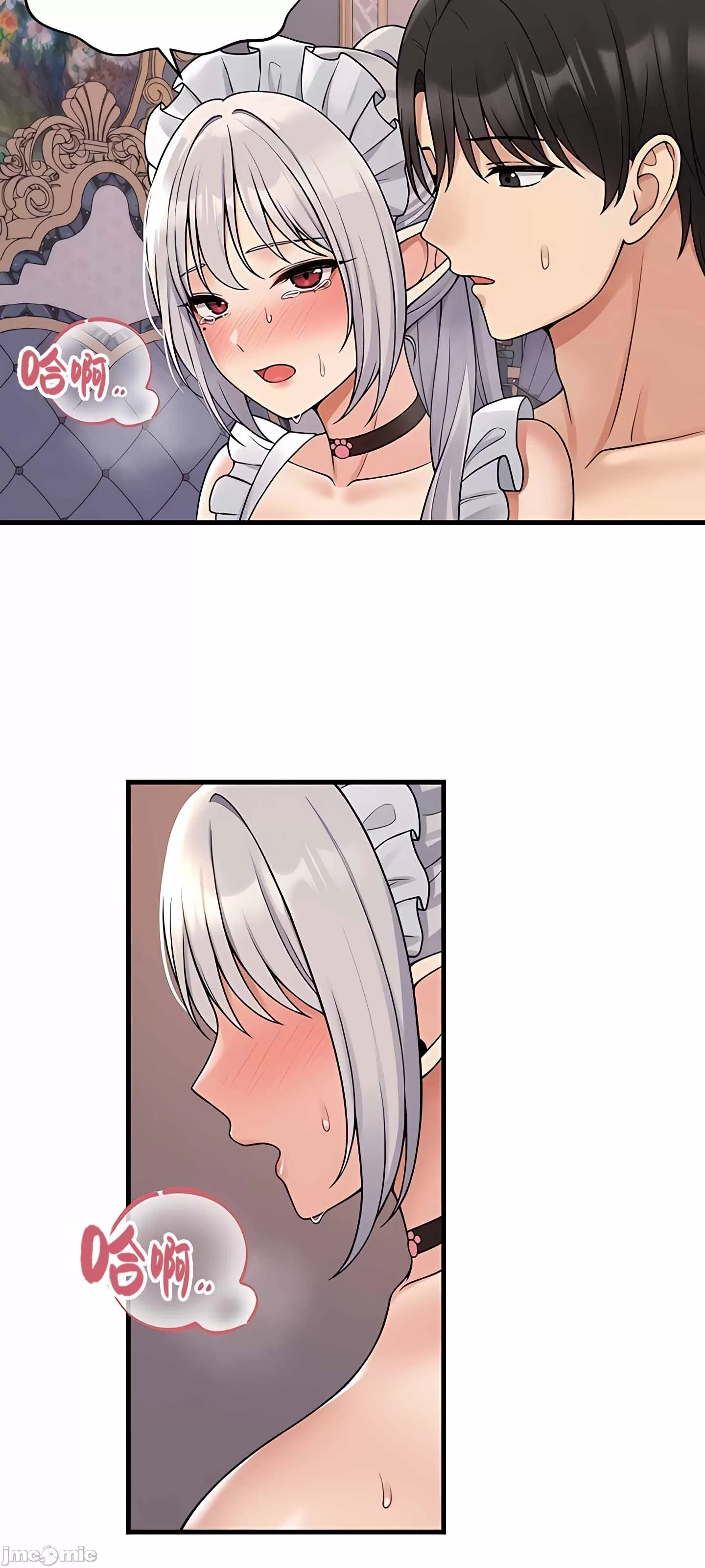 第 4 张