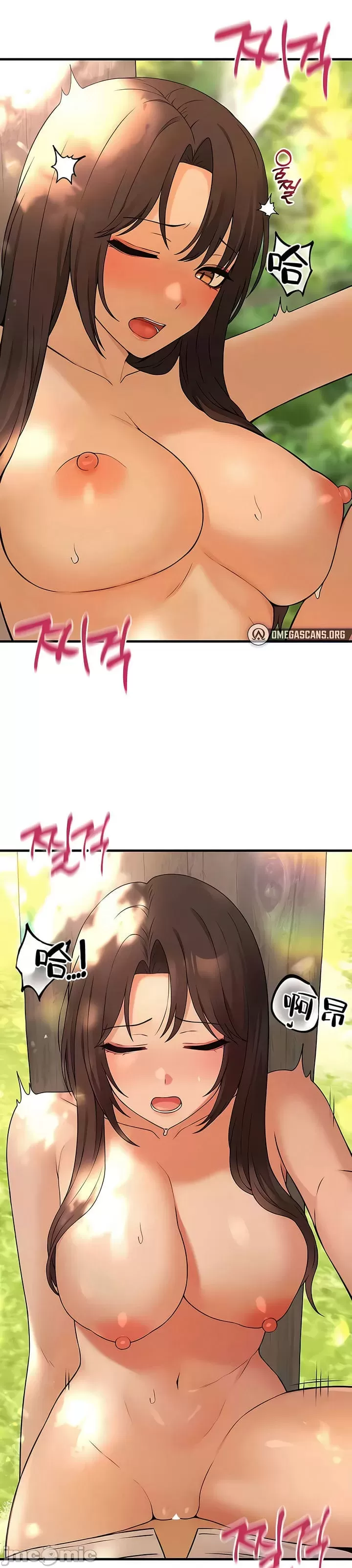 第 3 张