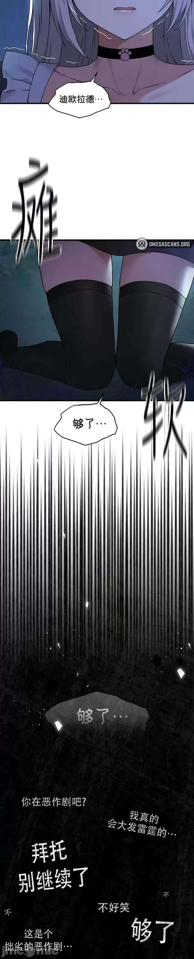 第 3 张