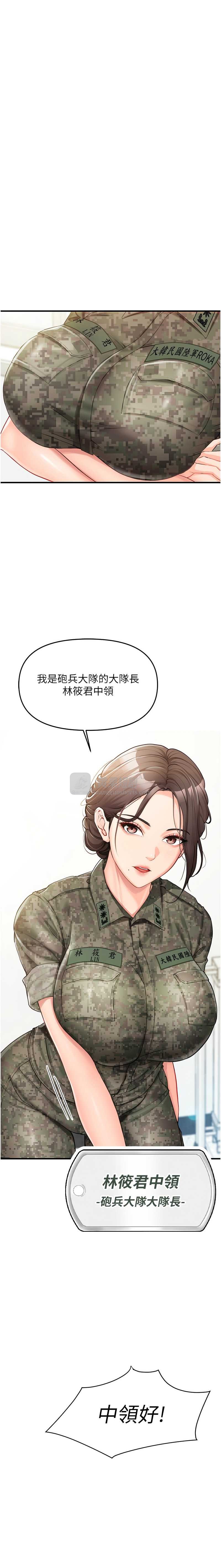 第 11 张