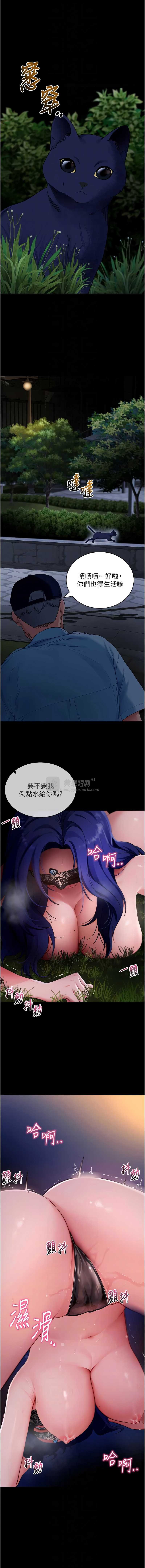 第 8 张