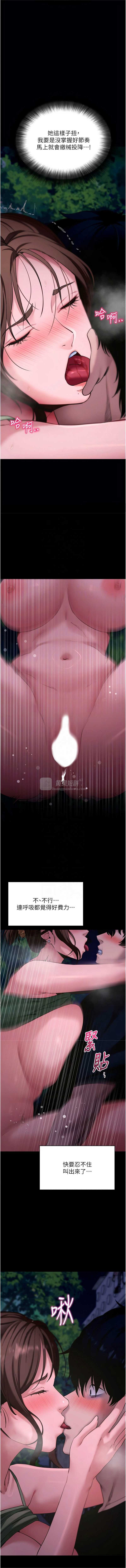 第 11 张