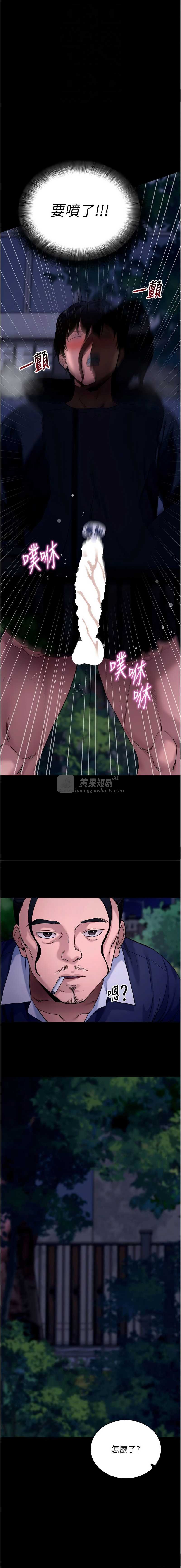 第 12 张