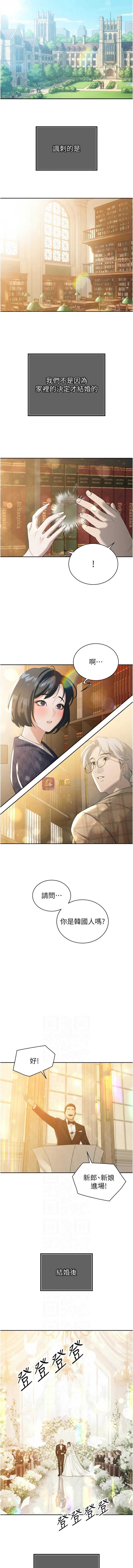 第 6 张