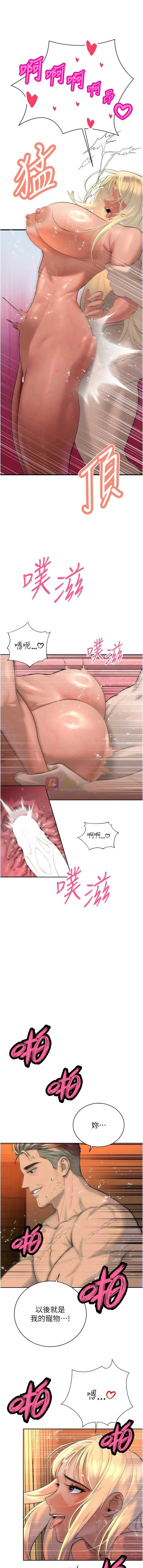 第 3 张