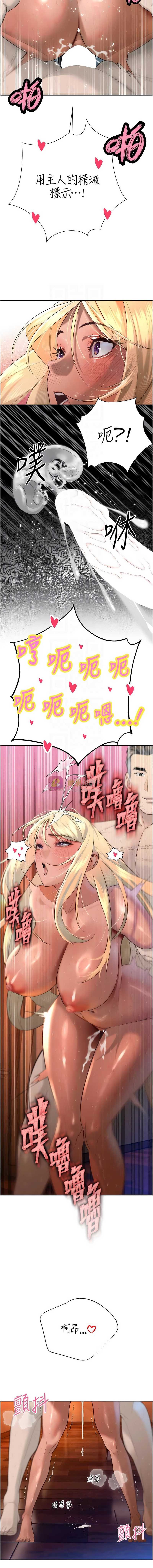 第 5 张