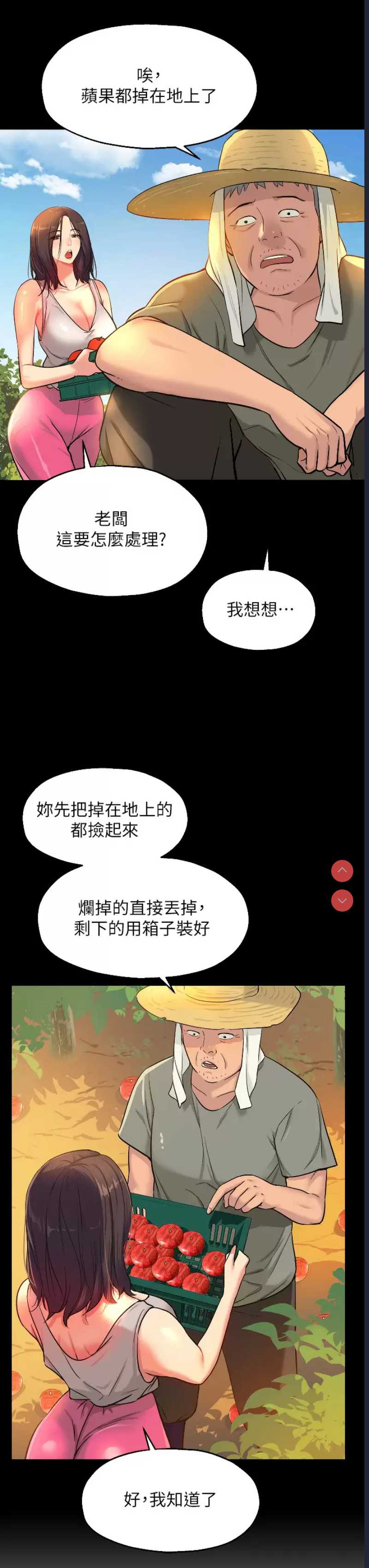 第 3 张