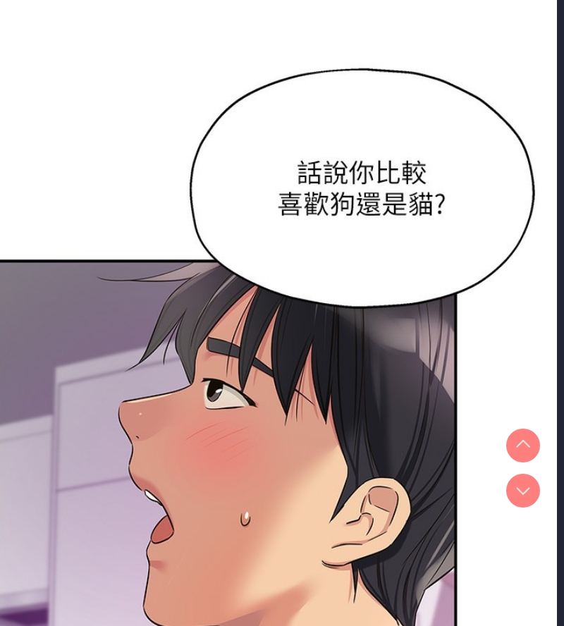 第 5 张