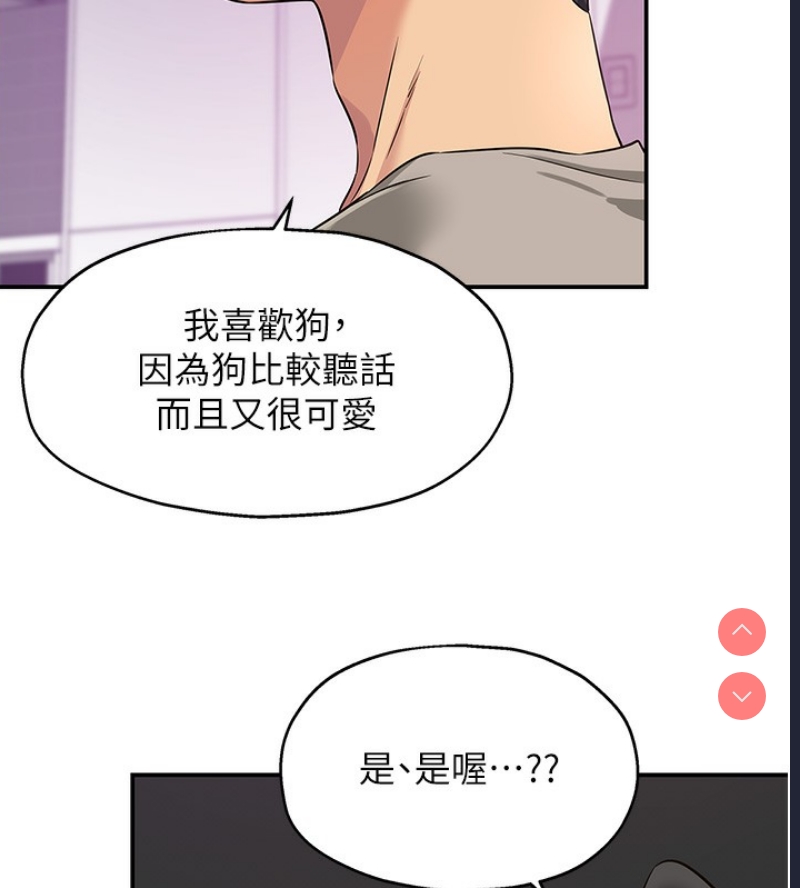第 6 张
