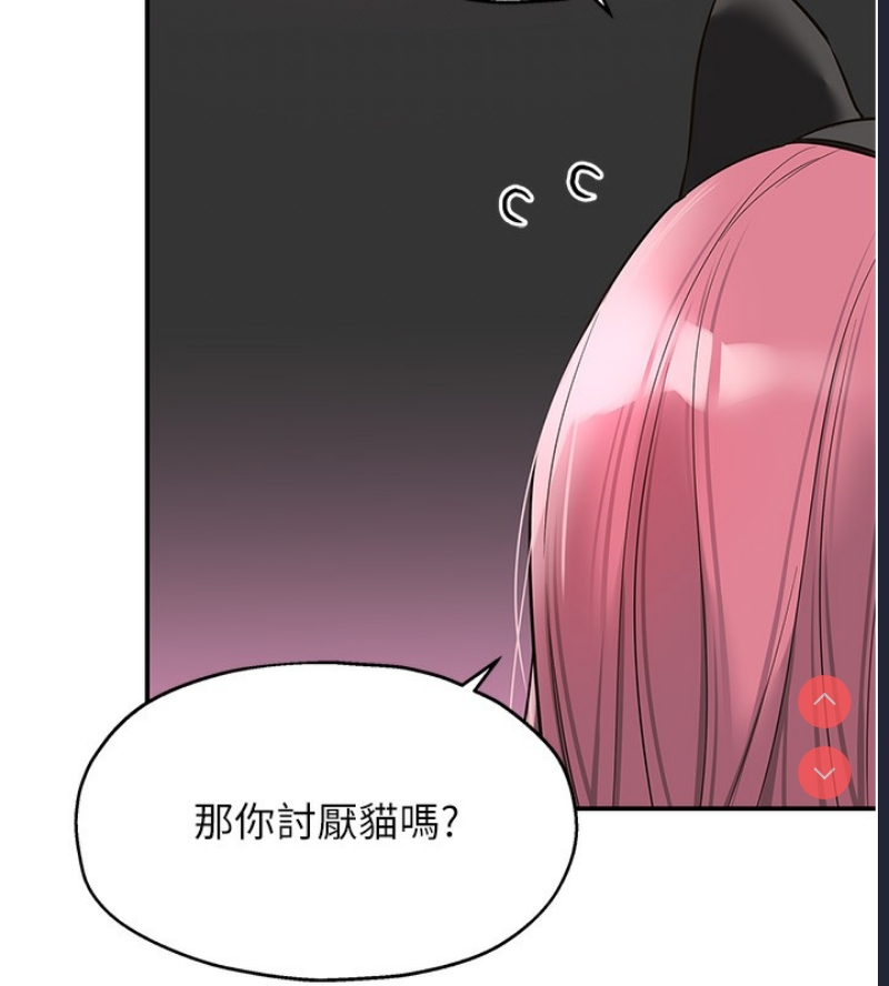 第 7 张