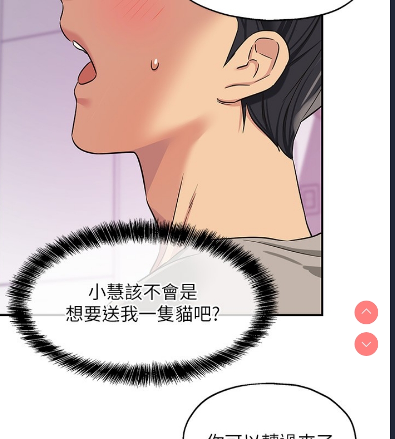 第 9 张
