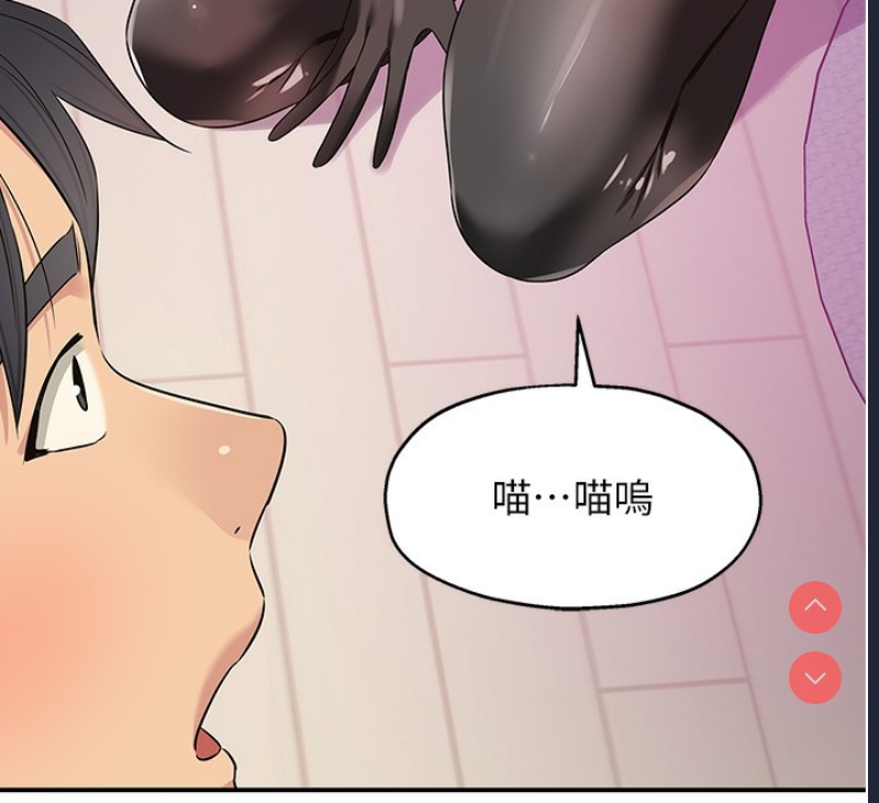 第 12 张