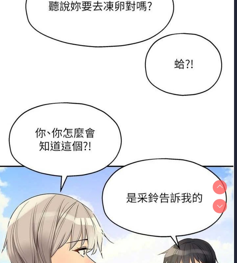 第 3 张