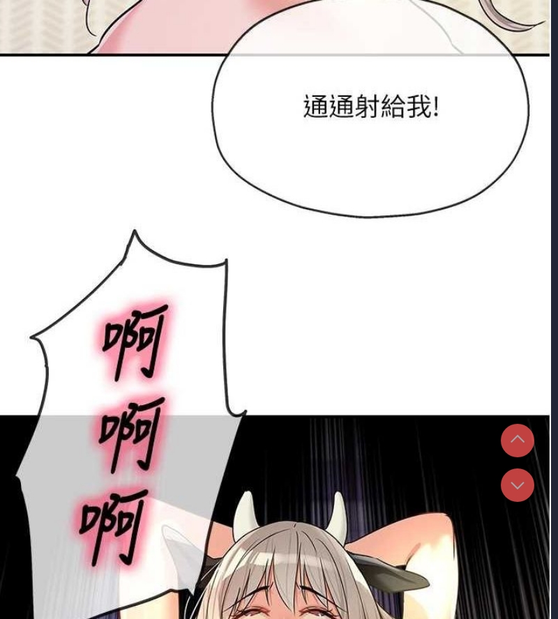 第 11 张