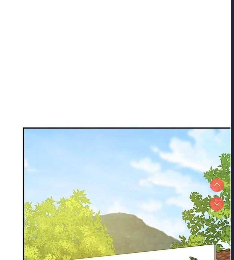 第 11 张