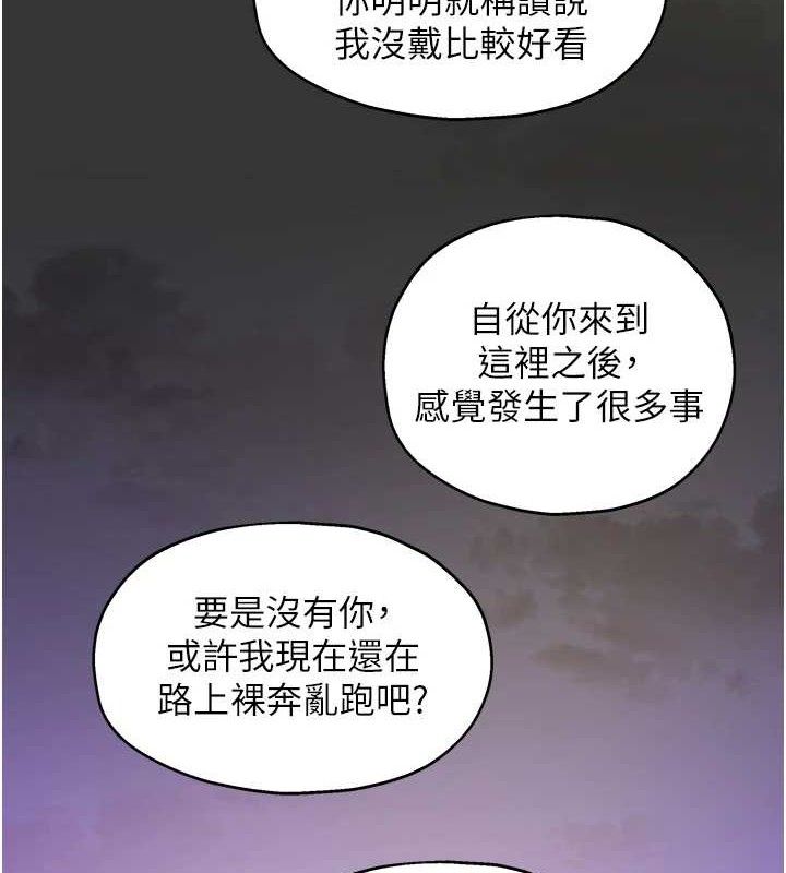 第 3 张