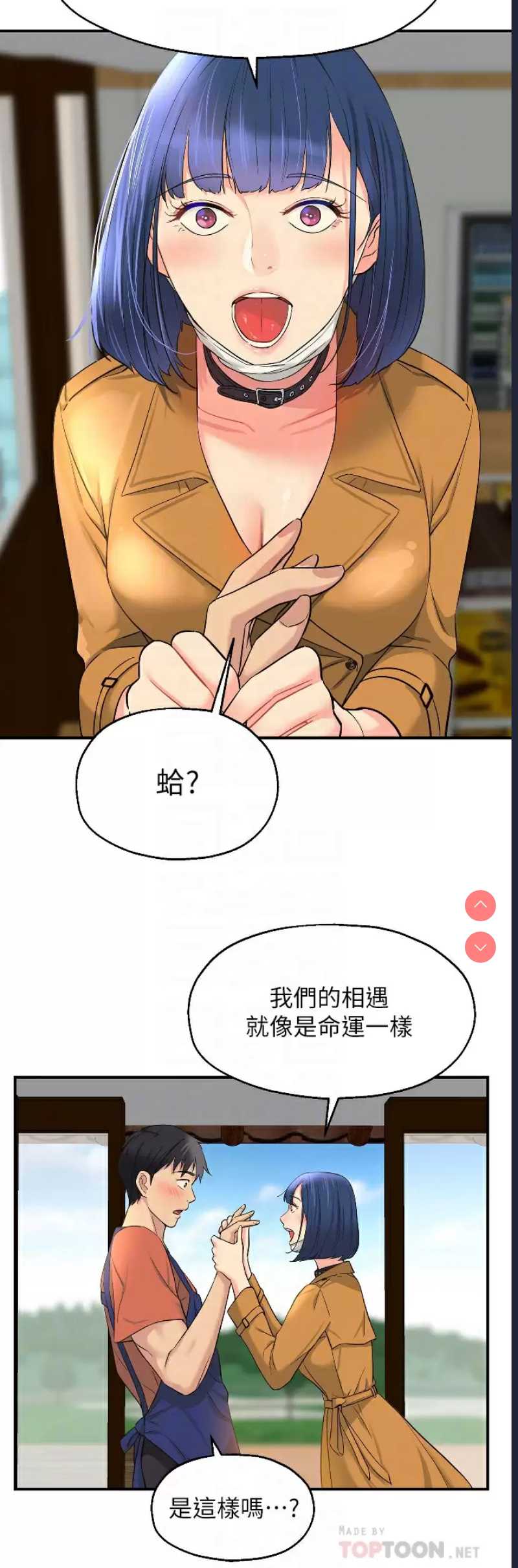 第 6 张
