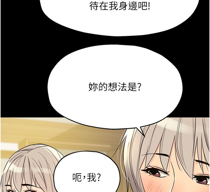 第 12 张