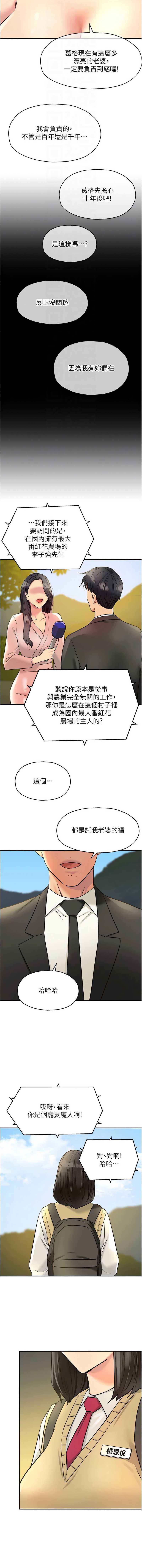 第 12 张