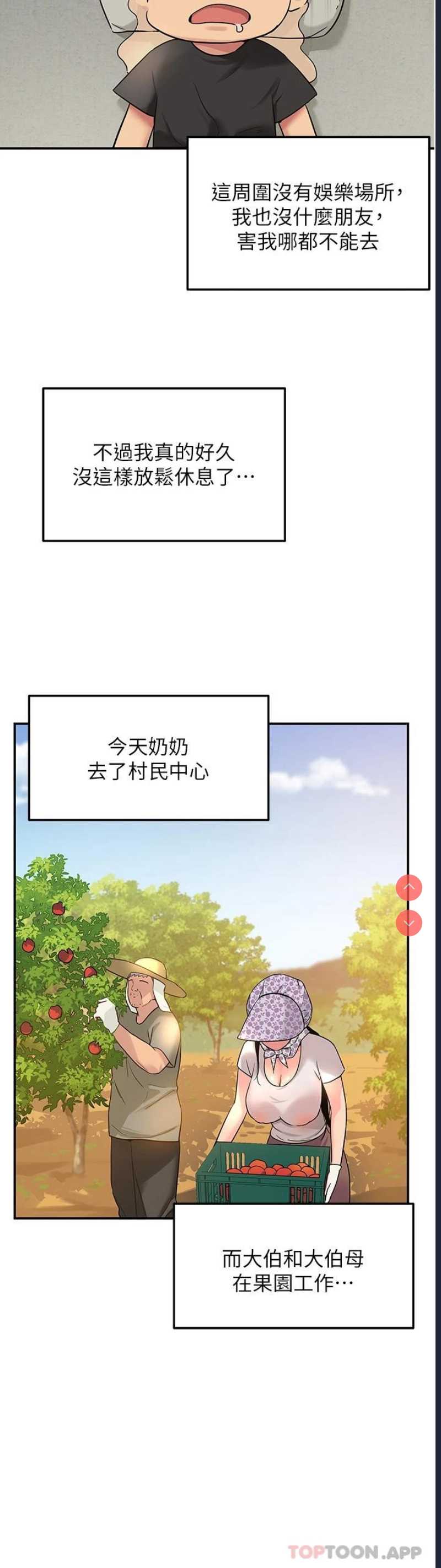 第 3 张