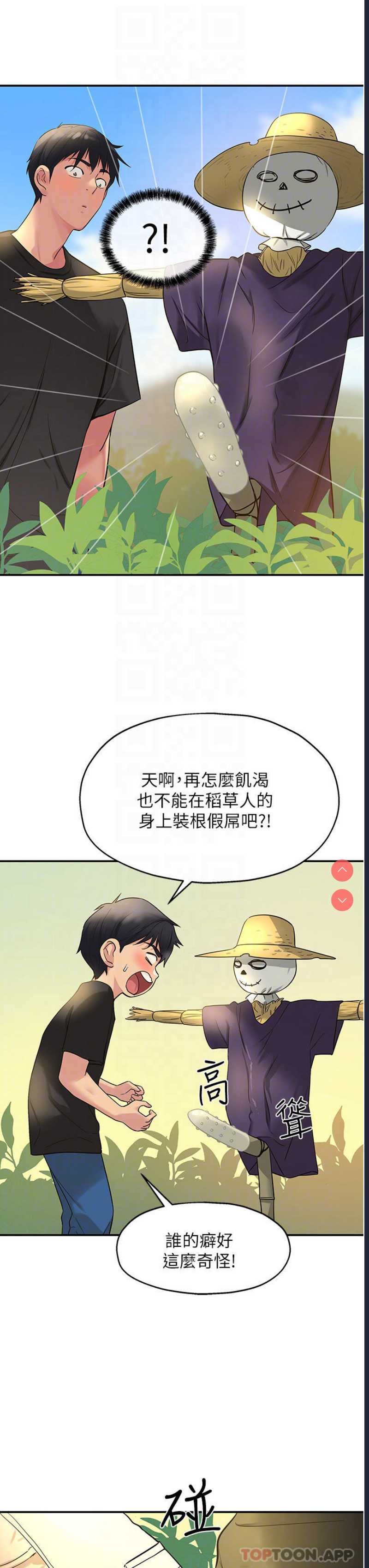 第 6 张