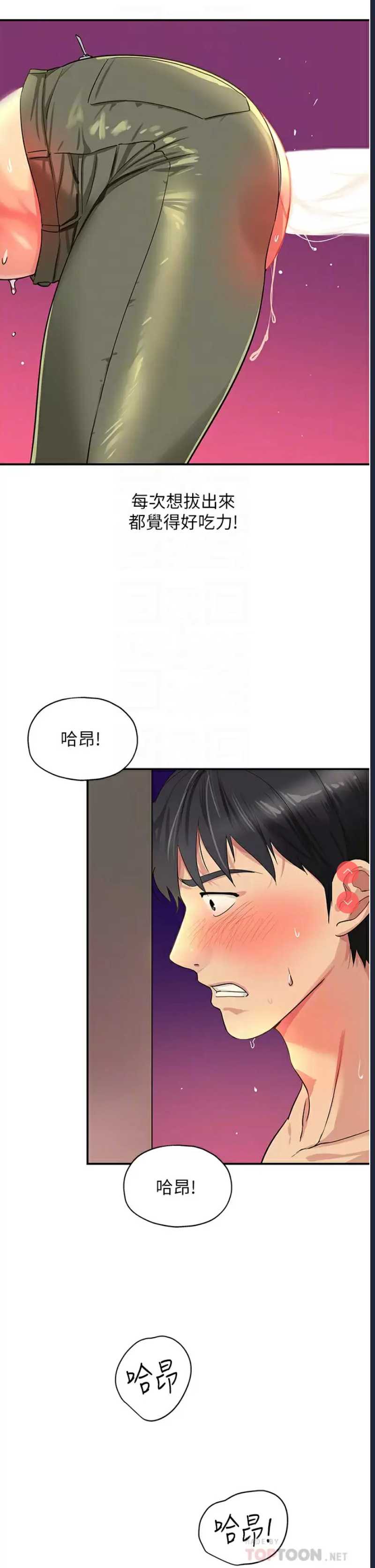 第 12 张