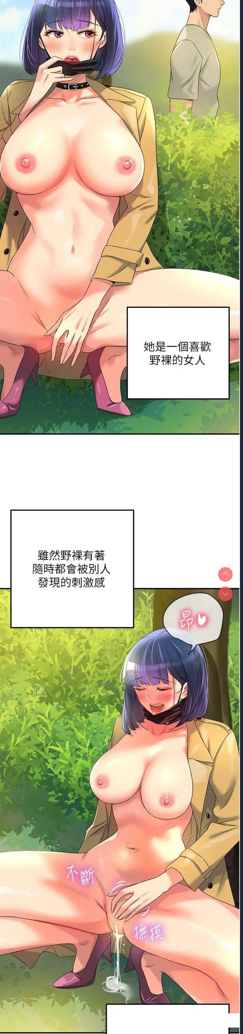 第 3 张